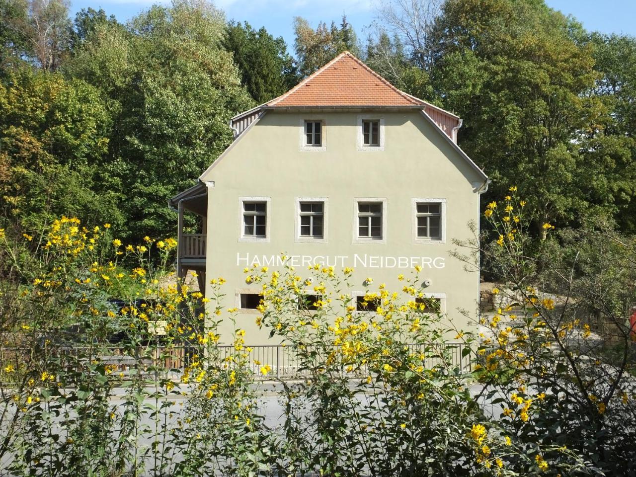 "Gesindestube" - Hammergut Neidberg Rosenthal-Bielatal Zewnętrze zdjęcie